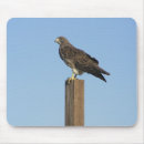 Suche nach raubvogel elektronik zubehör Jagd