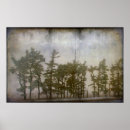 Suche nach winterbaum poster Fotografie