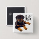 Suche nach cute quadratische buttons Puppy