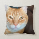 Suche nach alarm kissen Katze