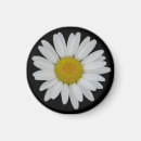 Suche nach gänseblümchen magnete Weiß
