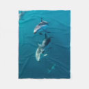 Suche nach niedlicher delphin decken Ozean