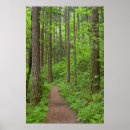 Suche nach douglas poster Grün