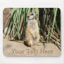 Suche nach meerkats mousepads Niedlich