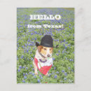 Suche nach lustige texas postkarten Niedlich