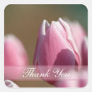 Suche nach tulpen aufkleber Rosa