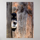 Suche nach nose art poster Animal