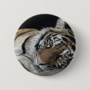 Suche nach tiger buttons Darstellung