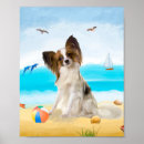 Suche nach papillon poster Haustier