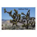 Suche nach kalifornien poster Landschaft