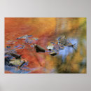 Suche nach schwimmend poster Jaynes gallery