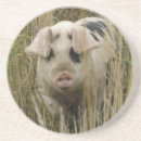 Suche nach rosa schwein untersetzer Niedlich