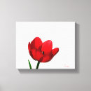 Suche nach lila tulpen leinwandbilder Botanisch