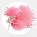 Suche nach süßwasser aufkleber Betta