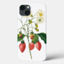 Suche nach frucht iphone hüllen Natur