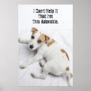 Suche nach jack russell terrier poster Welpe