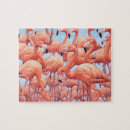 Suche nach flamingos puzzle Urlaub