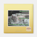 Suche nach käfig magnete Ich kann habe cheezburger