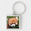 Suche nach roter panda schlüsselanhänger China