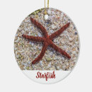 Suche nach starfish ornamente Meer