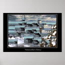 Suche nach delphin poster Natur