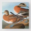 Suche nach audubon wanduhren Vögel von amerika