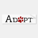 Suche nach katzen adoption autoaufkleber Adoptieren sie