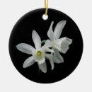 Suche nach riss ornamente Engel