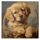 Suche nach golden retriever fliesen Goldene retriever keramik