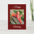 Suche nach chili karten Pfeffer