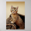 Suche nach rettung poster Niedlich