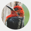 Suche nach treffen aufkleber Rot