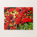 Suche nach mohn puzzle Quelle