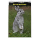 Suche nach kaninchen in einem kalender Hase