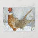 Suche nach fasan postkarten Winter