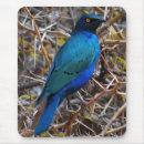 Suche nach grünes auge mousepads Blau