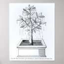 Suche nach baum des lebens poster Pflanze