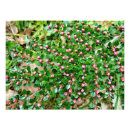 Suche nach schrein poster Natur