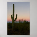 Suche nach sonnenuntergang kunst Foto