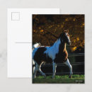 Suche nach backlit postkarten Bob langrish