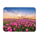 Suche nach holland magnete Netherlands