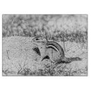 Suche nach sketch schneidebrettchen Natur