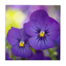 Suche nach stiefmütterchen fliesen Violett