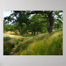 Suche nach botanische eiche poster Natur