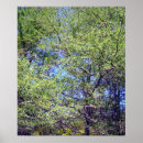 Suche nach die lärche poster Bäume