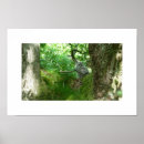 Suche nach owlet Fotografie