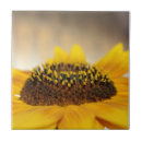 Suche nach sonnenblumen fliesen Herbst