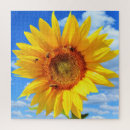 Suche nach bienen puzzle Sommer