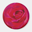 Suche nach blumenblatt magnete Muster