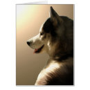 Suche nach heiser postkarten Sibirischer husky